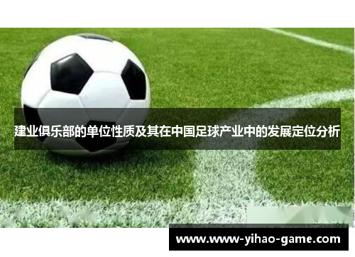 建业俱乐部的单位性质及其在中国足球产业中的发展定位分析