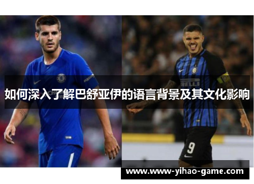 如何深入了解巴舒亚伊的语言背景及其文化影响